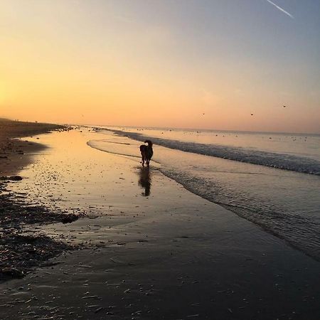 Au Gre Du Vent Daire Koksijde Dış mekan fotoğraf