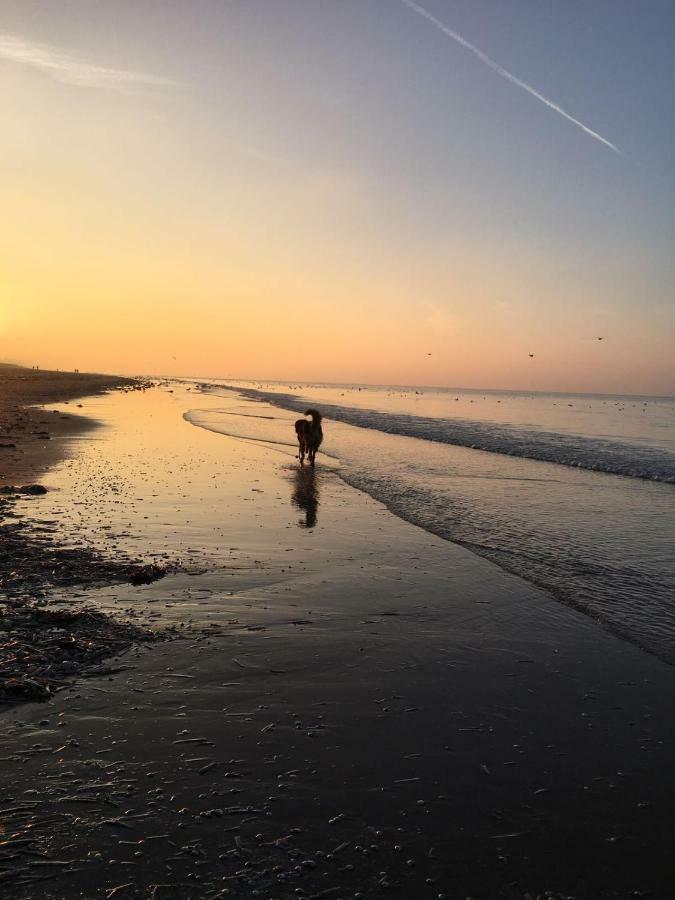 Au Gre Du Vent Daire Koksijde Dış mekan fotoğraf